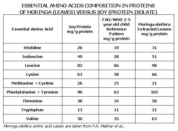 What are some foods that are rich in amino acids?